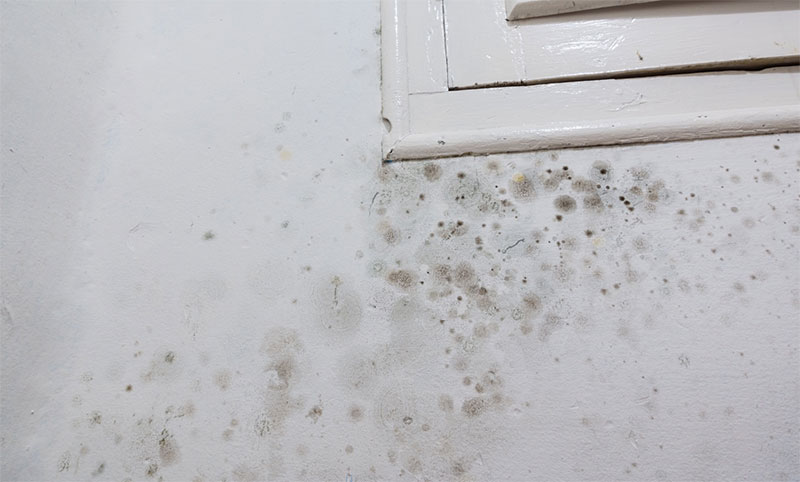 Structural and masonry repair pathways by Quay Point Plastering